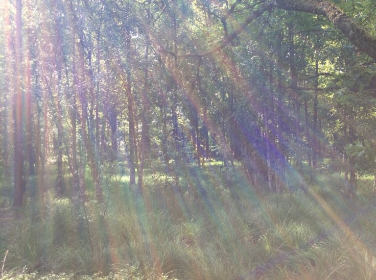 2015-07-15 14.29.06-3