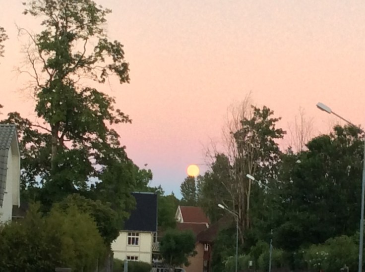 2015-07-15 14.29.38-1